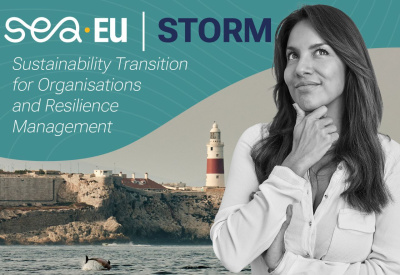 STORM grafika