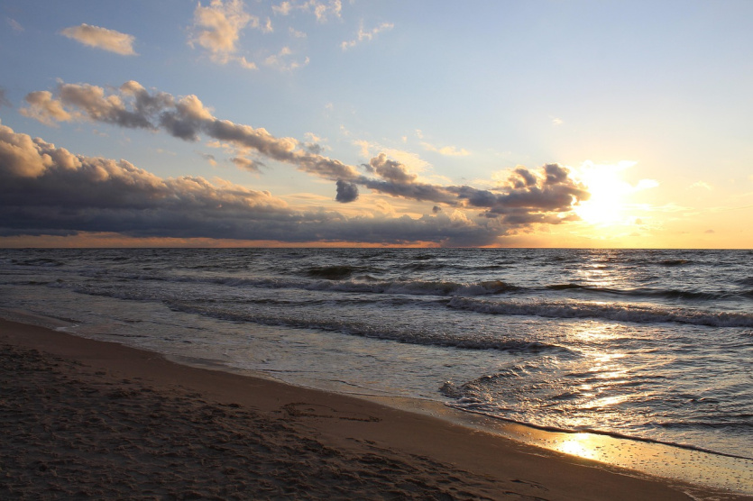 Image by Łukasz Tekieli from Pixabay