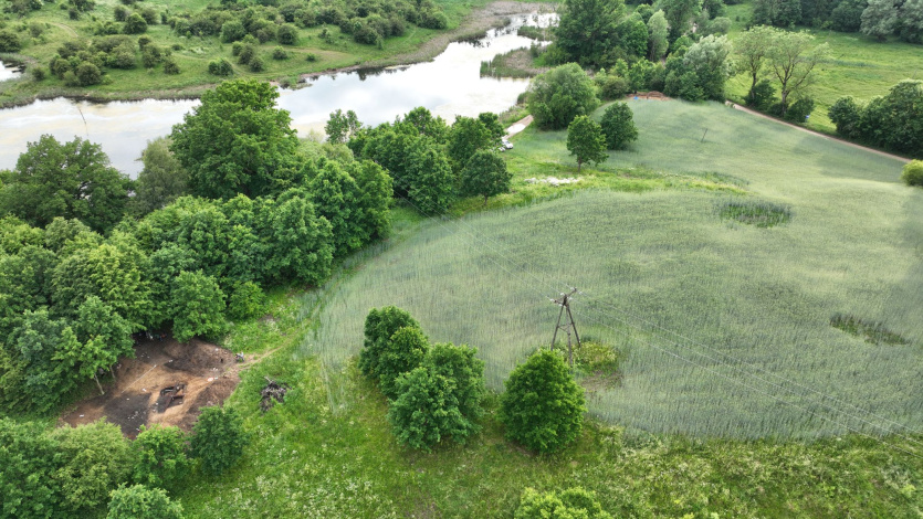 Stare Miasto, gm. Dąbrówno. Pierwsza lokalizacja. Zespól archeologów UG odkrywa fragment miasta. Na zbożu widoczne ślady podziemnych reliktów zabudowy. Fot Arkadiusz Koperkiewicz