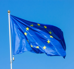 UE flag; Photo by Alexey Larionov on Unsplash