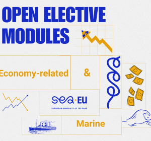 Grafika Open Elective Modules