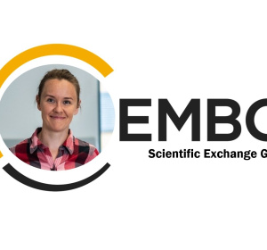 fot. mat. promocyjne