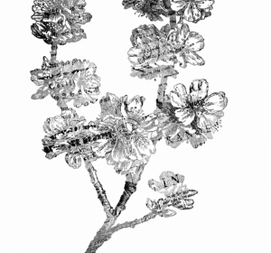 Obraz LwcyD z Pixabay