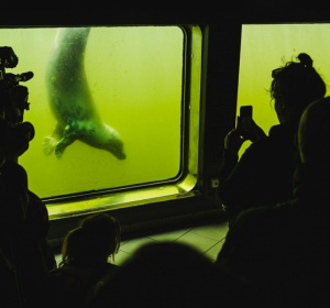 Oceanograf