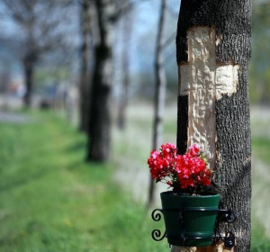 Krzyż