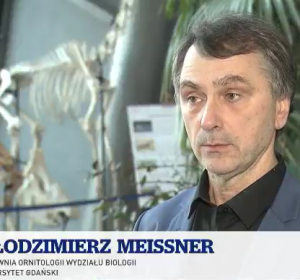 prof. W.Meissner