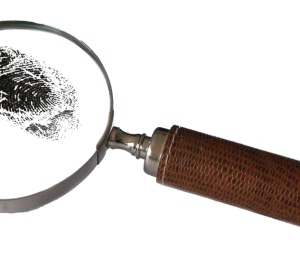 Image by Davie Bicker from Pixabay
