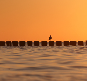 Image by Michaela from Pixabay