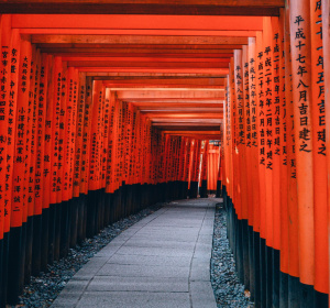 Image by Pexels from Pixabay