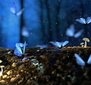 Image by Игорь Левченко from Pixabay