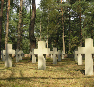 Image by goja73 from Pixabay