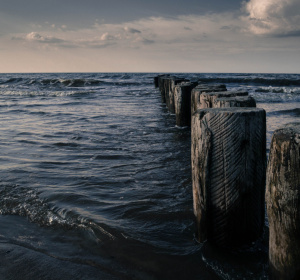 Image by <a href="https://pixabay.com/users/jayrokk-233523/?utm_source=link-attribution&utm_medium=referral&utm_campaign=image&utm_content=331265">Jakub Martenka</a> from <a href="https://pixabay.com//?utm_source=link-attribution&utm_medium=referral&utm_campaign=image&utm_content=331265">Pixabay</a>