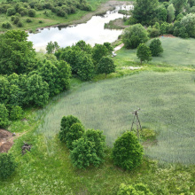 1. Stare Miasto, gm. Dąbrówno. Pierwsza lokalizacja. Zespól archeologów UG odkrywa fragment miasta. Na zbożu widoczne ślady podziemnych reliktów zabudowy, fot Arkadiusz Koperkiewicz