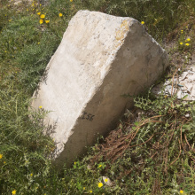 archeo