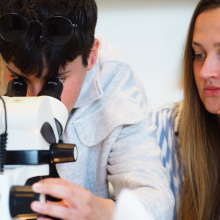 Laboratorium Paleontologiczne 