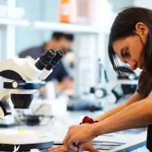 Laboratorium Paleontologiczne 