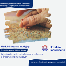 Grafika 6