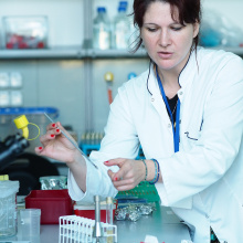 Laboratory workshop
