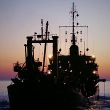 Photo by Emilia Kiełtyka