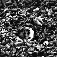 Photo by Martyna Górecka