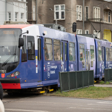 fot. Bartłomiej Jętczak