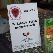 fot B. Jętczak