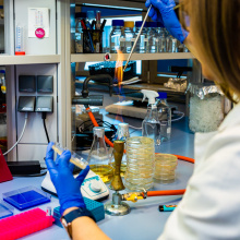 Zdjęcia z laboratorium