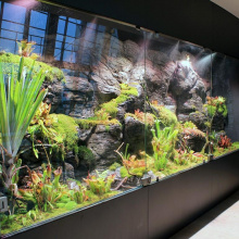 Paludarium biotopowe Tepui – DOMY BOGÓW