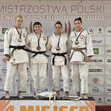 Agata Pałka i in.