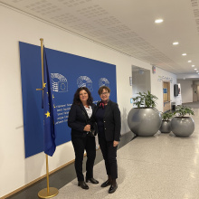 Studenci w Brukseli