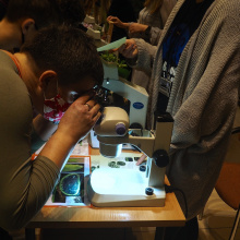 Noc Biologów