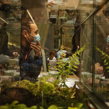 Noc Biologów