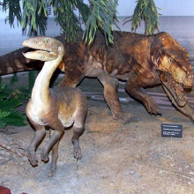 Silesaurus