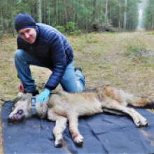 dr Maciej Szewczyk