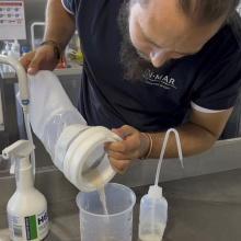 microplastic