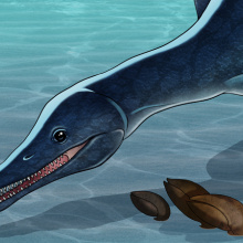 Plezjozaur Trinacromerum