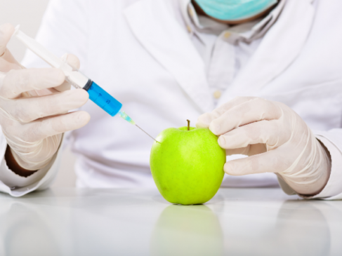 GMO