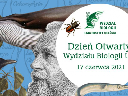 Zdjęcie poglądowe 