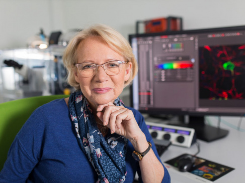Prof. Krystyna Bieńkowska - Szewczyk