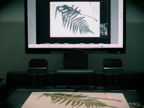 Herbarium