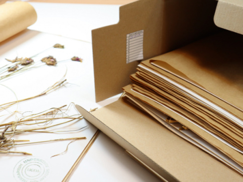 Herbarium