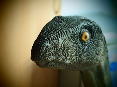 Silesaurus wystawa WB