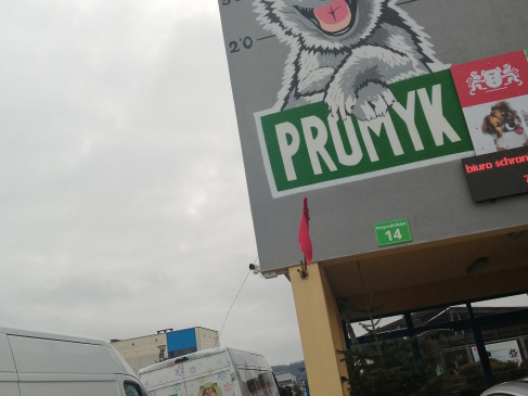 Zbiórka Promyk