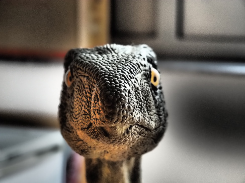 dinozaury