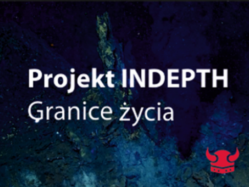 grafika