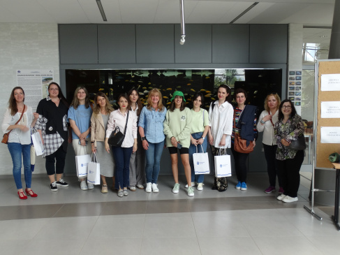 Erasmus +