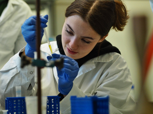 lab foto