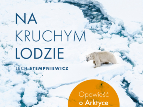Na kruchym lodzie