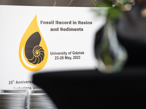 amberfossil