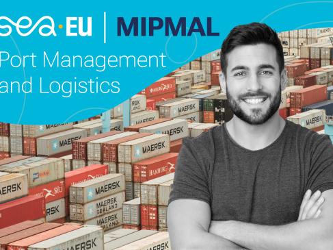 MIPMAL